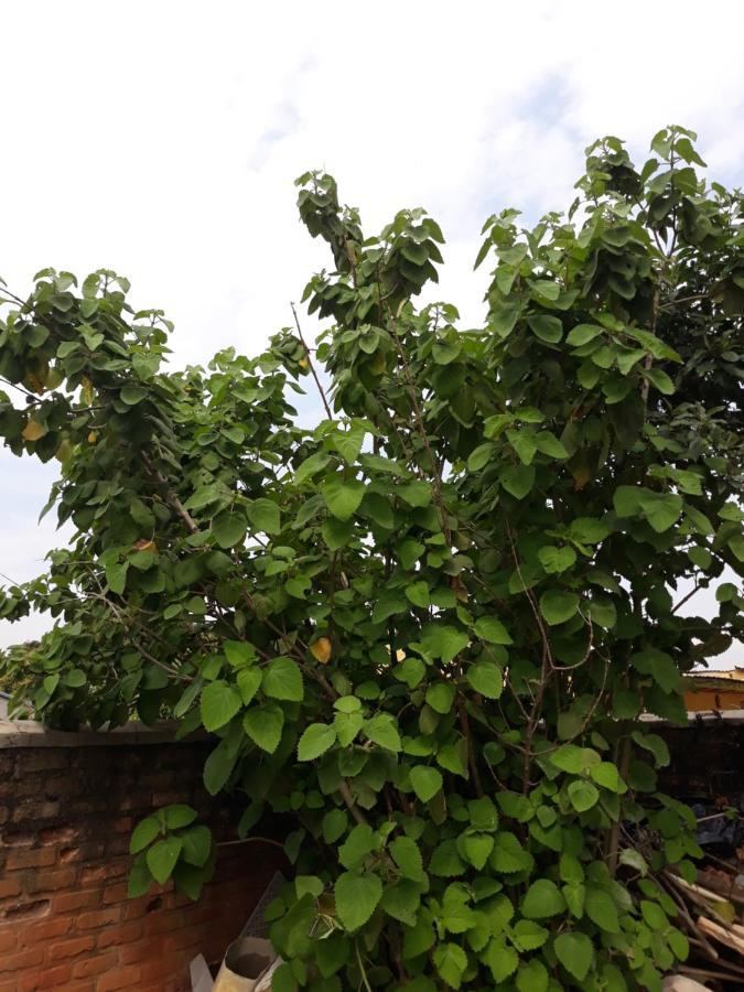 Bizi Homes Kigali Eksteriør bilde